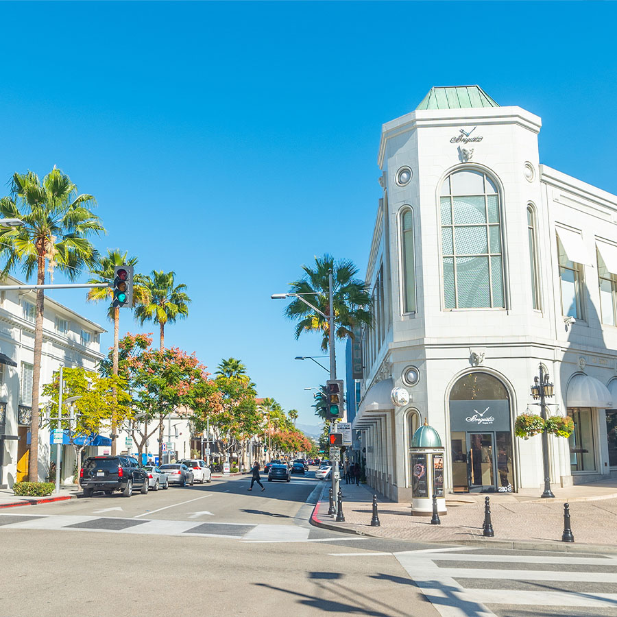 Wesley Chapel Wesley Chapel Real Estate - Elaine Pumarejo, Broker/REALTOR®